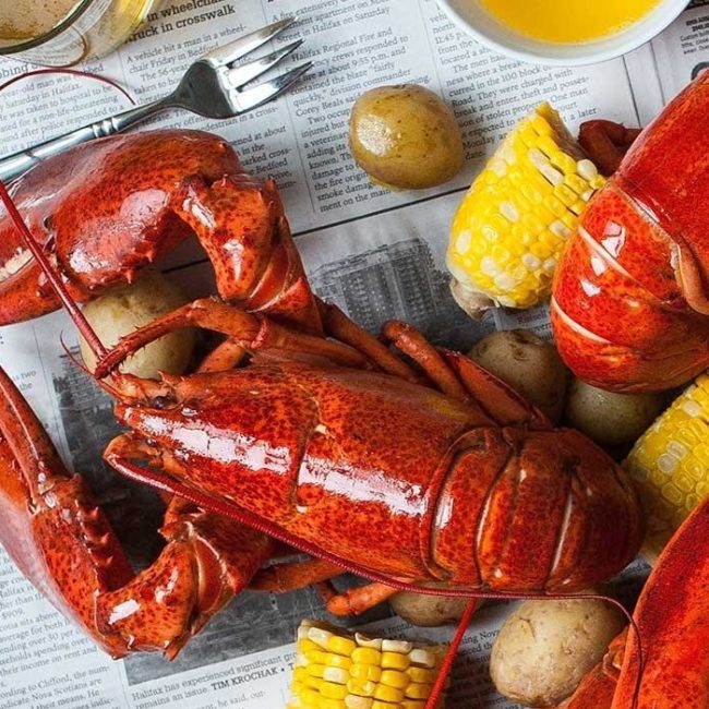 Everything You Need To Know About the Lobsters of Nova Scotia